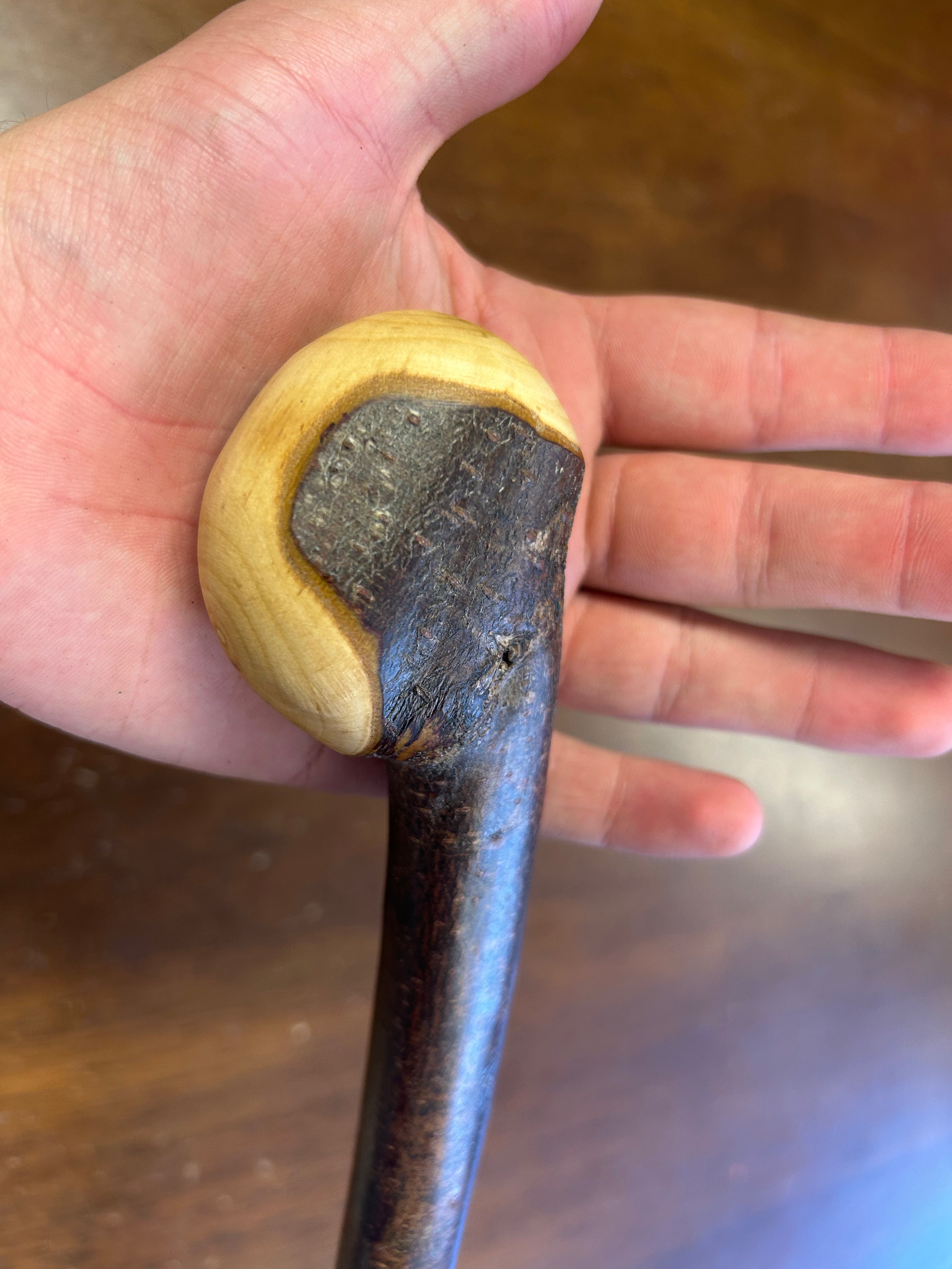 Blackthorn Walking Stick 38 3/4 inch - Handmade in Ireland