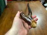 Blackthorn Walking Stick 35 1/2 inch  - Handmade in Ireland