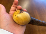 Blackthorn Walking Stick 39 1/2 inch - Handmade in Ireland