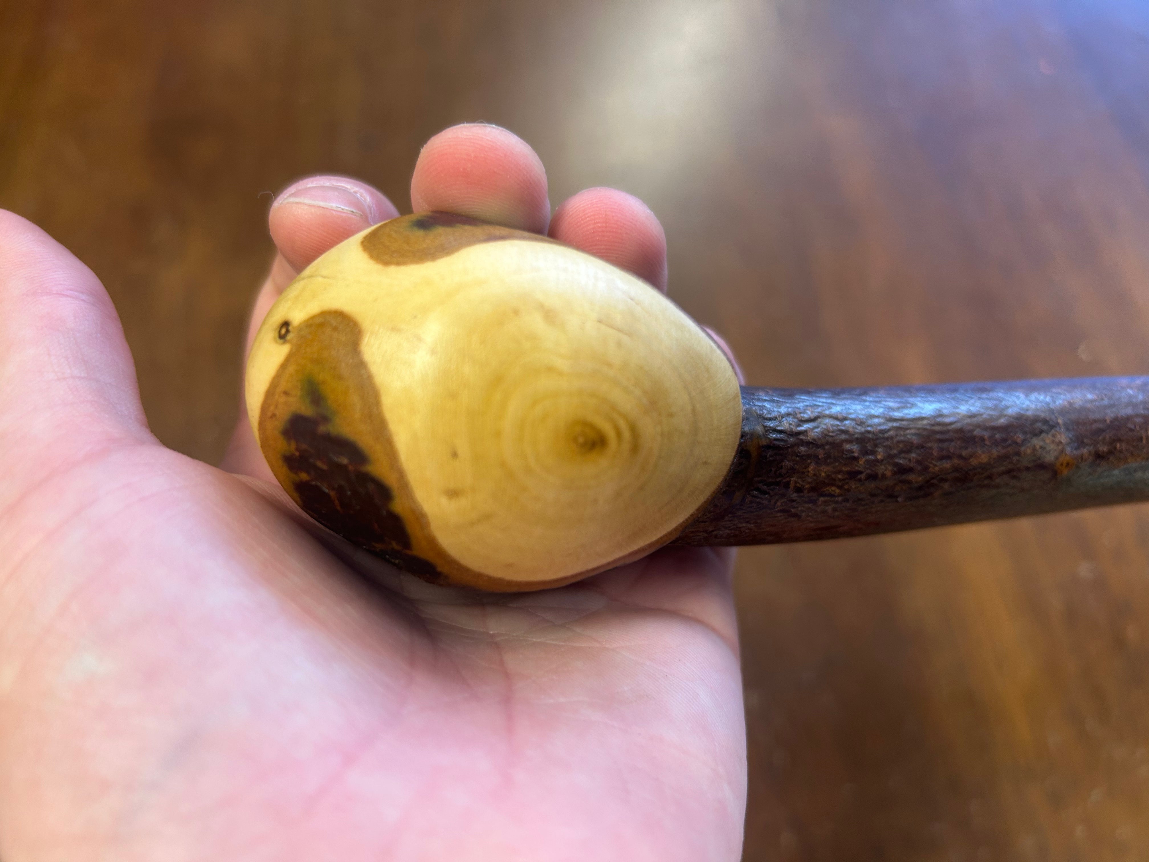 Blackthorn Walking Stick 39 1/4 inch - Handmade in Ireland