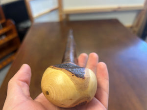 Blackthorn Walking Stick 39 1/4 inch - Handmade in Ireland