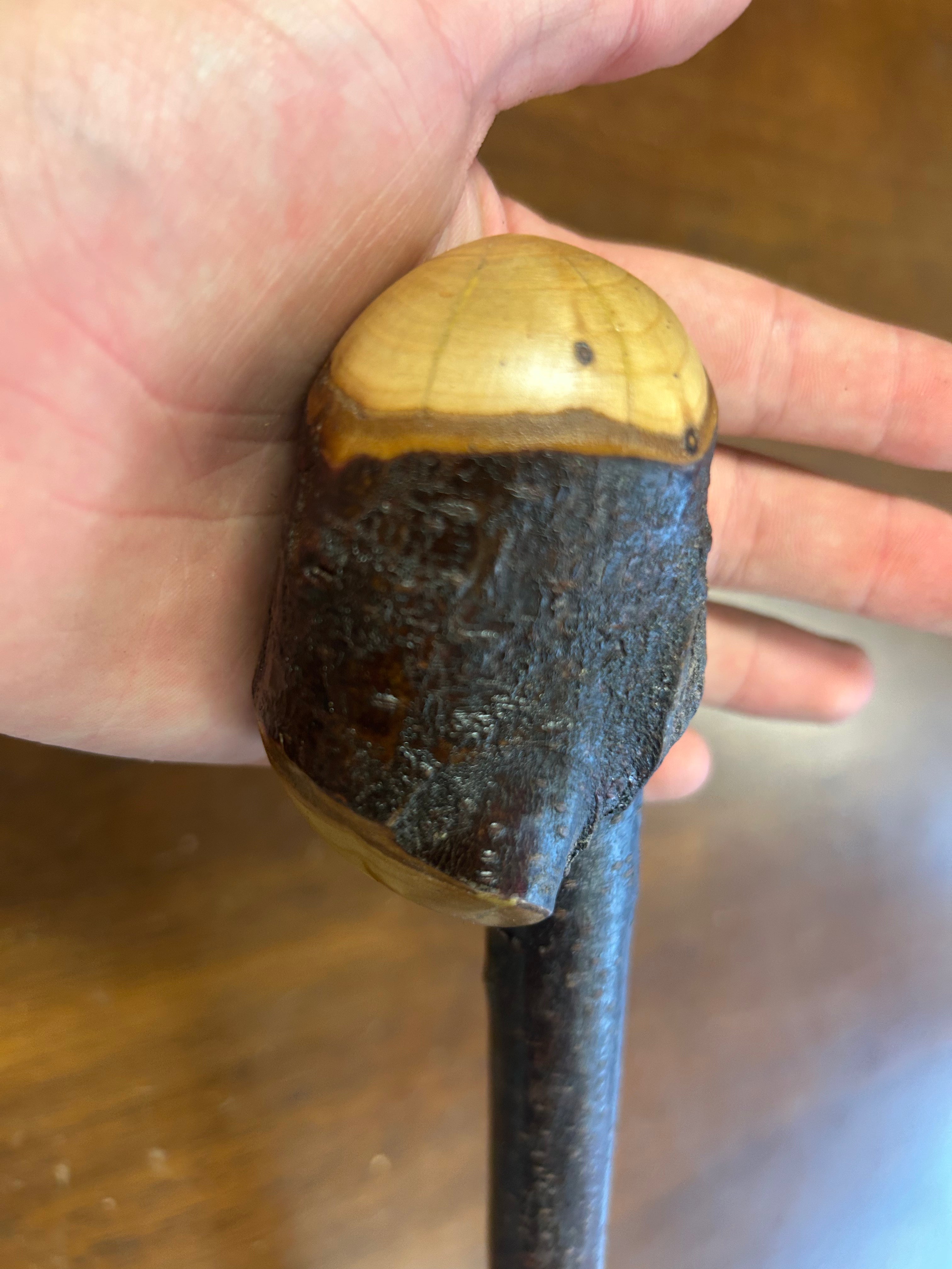 Blackthorn Shillelagh - 19 3/4 inch - Handmade in Ireland