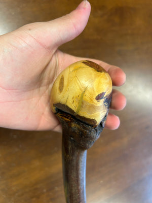 Blackthorn Walking Stick 38 inch - Handmade in Ireland
