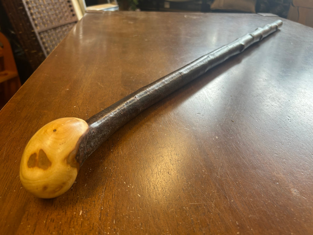 Blackthorn Walking Stick 39 1/4 inch - Handmade in Ireland
