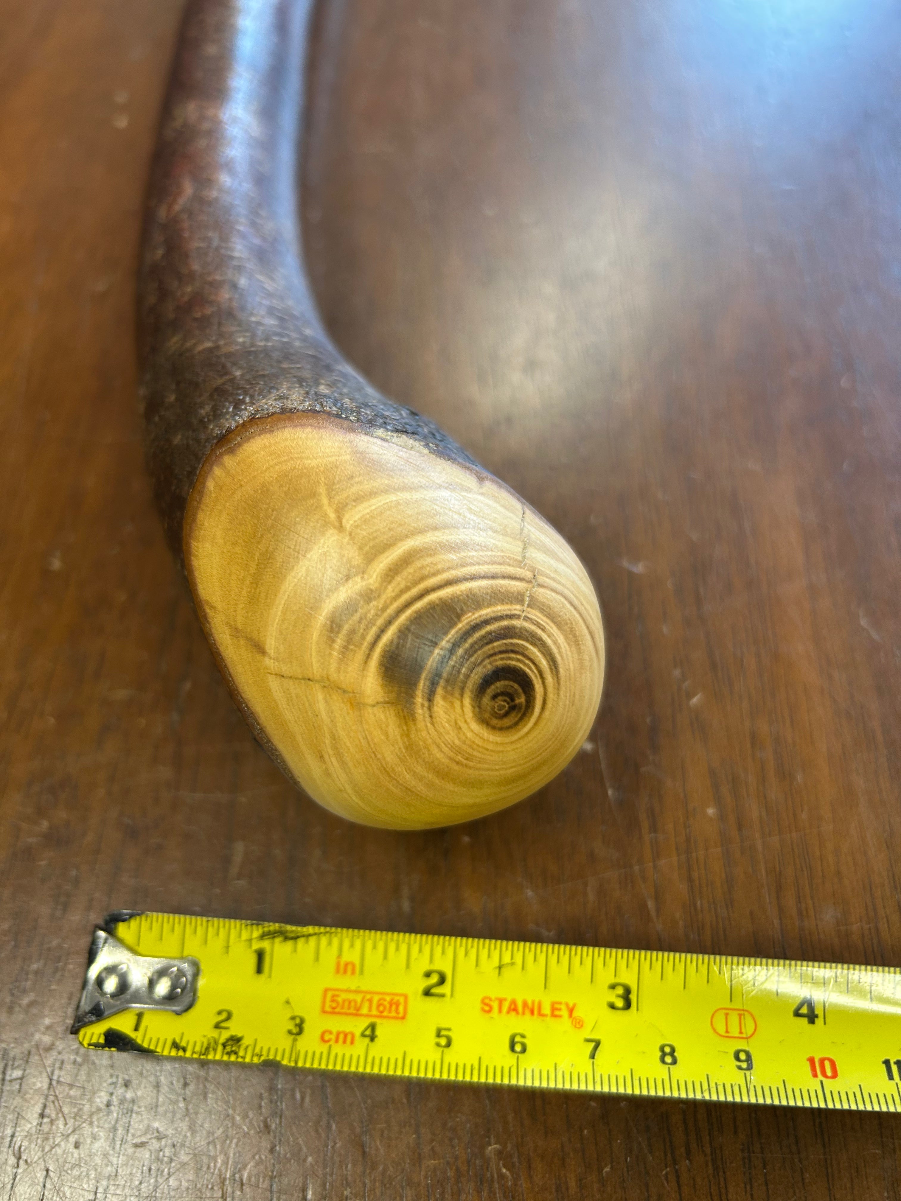 Blackthorn Walking Stick 39 1/2 inch - Handmade in Ireland