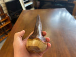 Blackthorn Walking Stick 37 1/2 inch - Handmade in Ireland