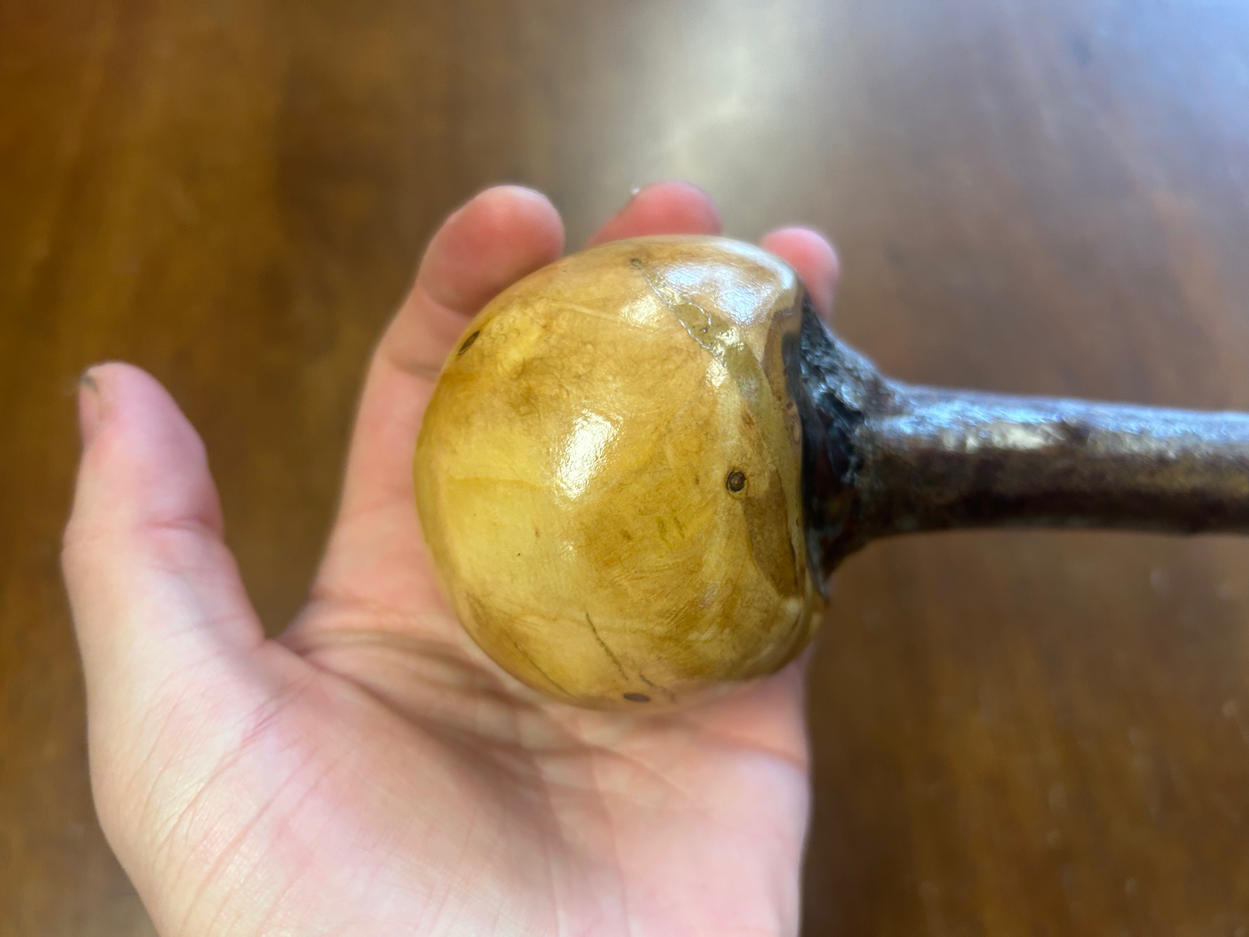 Blackthorn Walking Stick 37 3/4 inch - Handmade in Ireland
