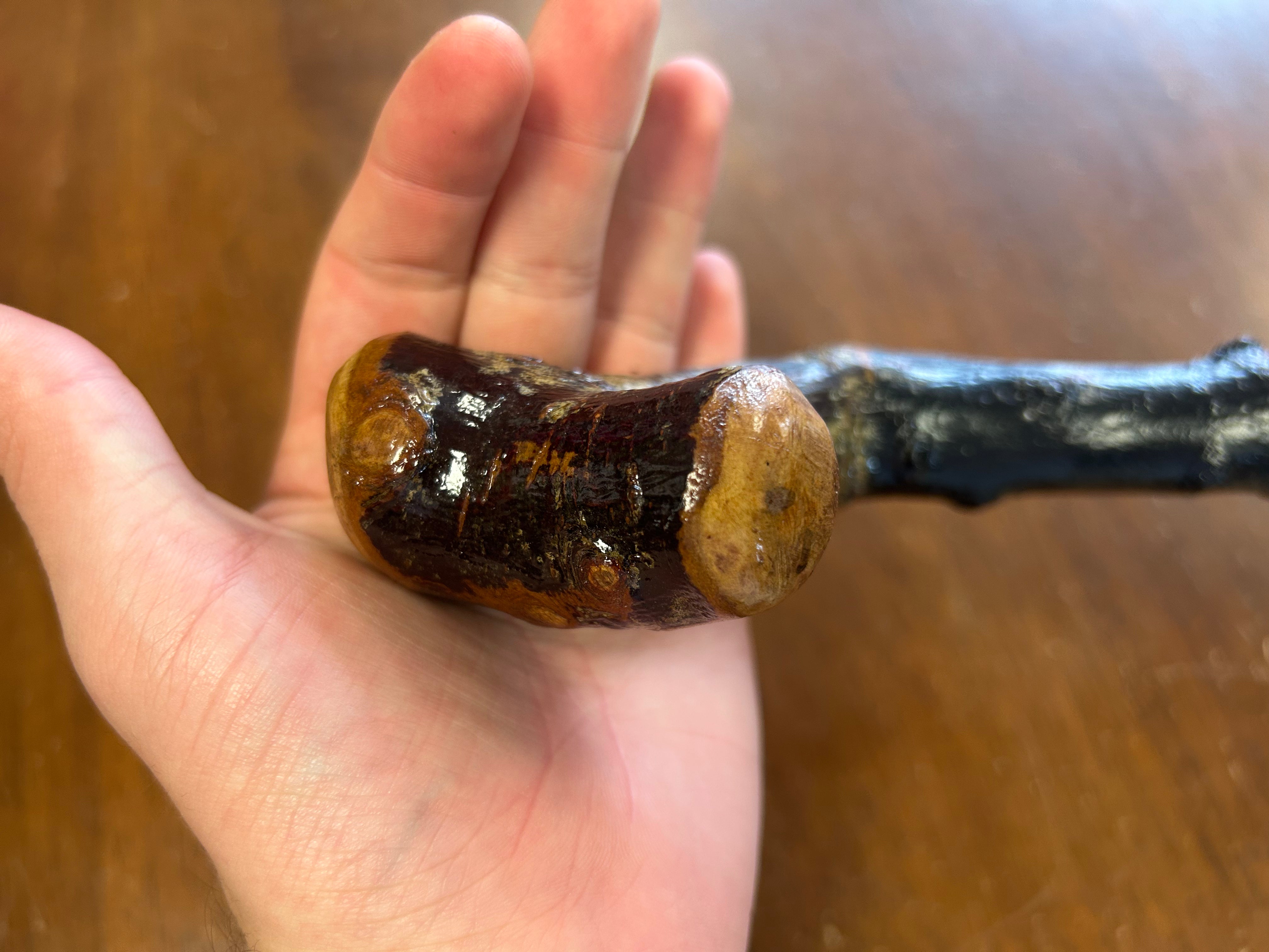 Blackthorn Walking Stick 31 inch - Handmade in Ireland
