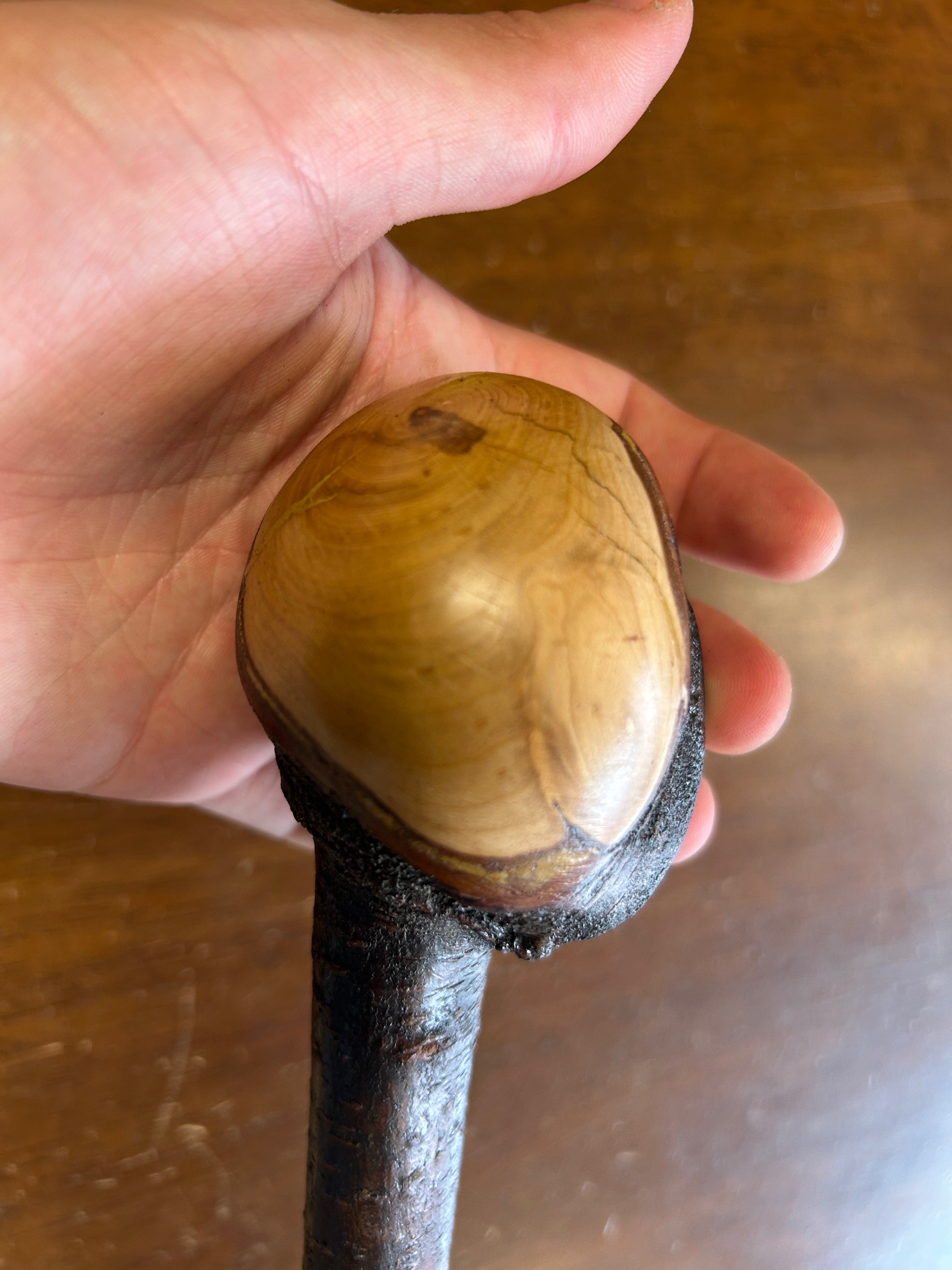 Blackthorn Shillelagh - 19 3/4 inch - Handmade in Ireland
