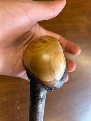 Blackthorn Shillelagh - 19 3/4 inch - Handmade in Ireland