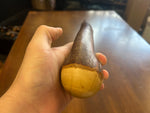 Blackthorn Walking Stick 39 inch - Handmade in Ireland