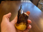 Blackthorn Walking Stick 32 3/4 inch - Handmade in Ireland