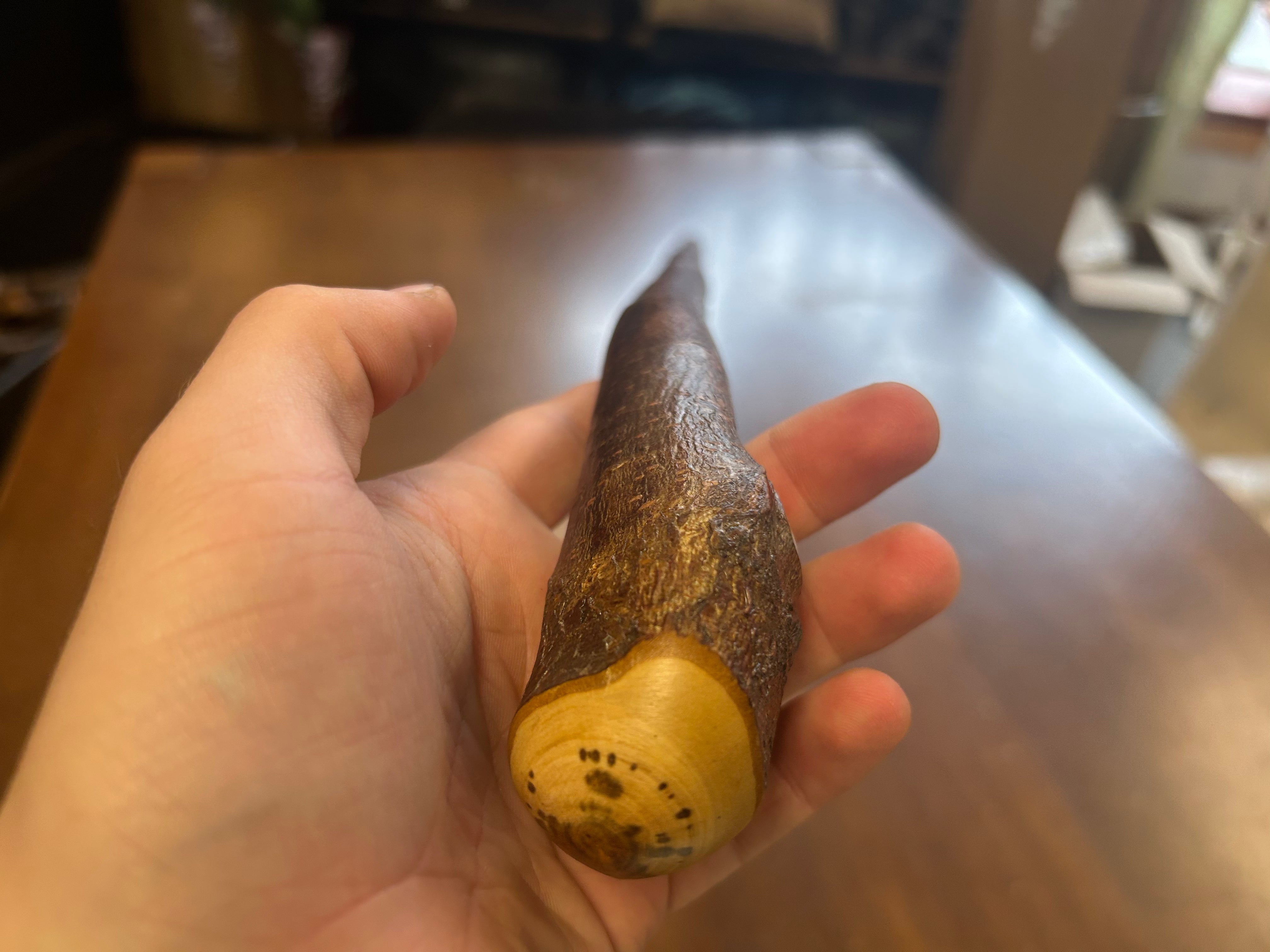 Blackthorn Walking Stick 38 1/2 inch - Handmade in Ireland