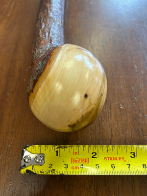 Blackthorn Walking Stick 39 1/4 inch - Handmade in Ireland