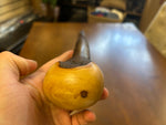 Blackthorn Walking Stick 39 1/4 inch - Handmade in Ireland