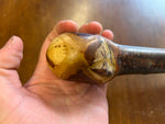 Blackthorn Walking Stick 39 1/4 inch - Handmade in Ireland