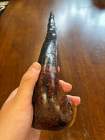Blackthorn Walking Stick 37 1/2 inch - Handmade in Ireland
