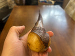 Blackthorn Walking Stick 39 1/4 inch - Handmade in Ireland