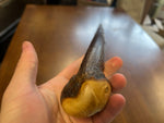 Blackthorn Walking Stick 37 1/4 inch - Handmade in Ireland