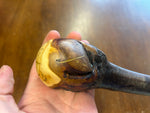 Blackthorn Walking Stick 39 1/4 inch - Handmade in Ireland