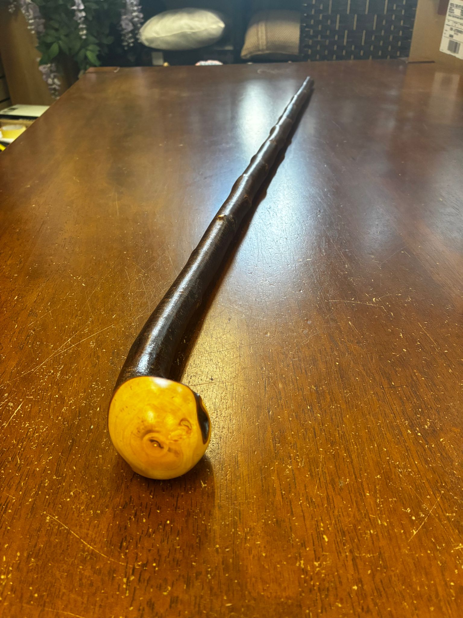 Blackthorn Walking Stick 39 inch - Handmade in Ireland