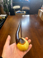 Blackthorn Walking Stick 39 1/4 inch - Handmade in Ireland