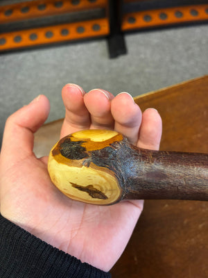 Blackthorn Walking Stick 39 1/4 inch - Handmade in Ireland