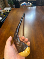 Blackthorn Walking Stick 38 1/2 inch - Handmade in Ireland