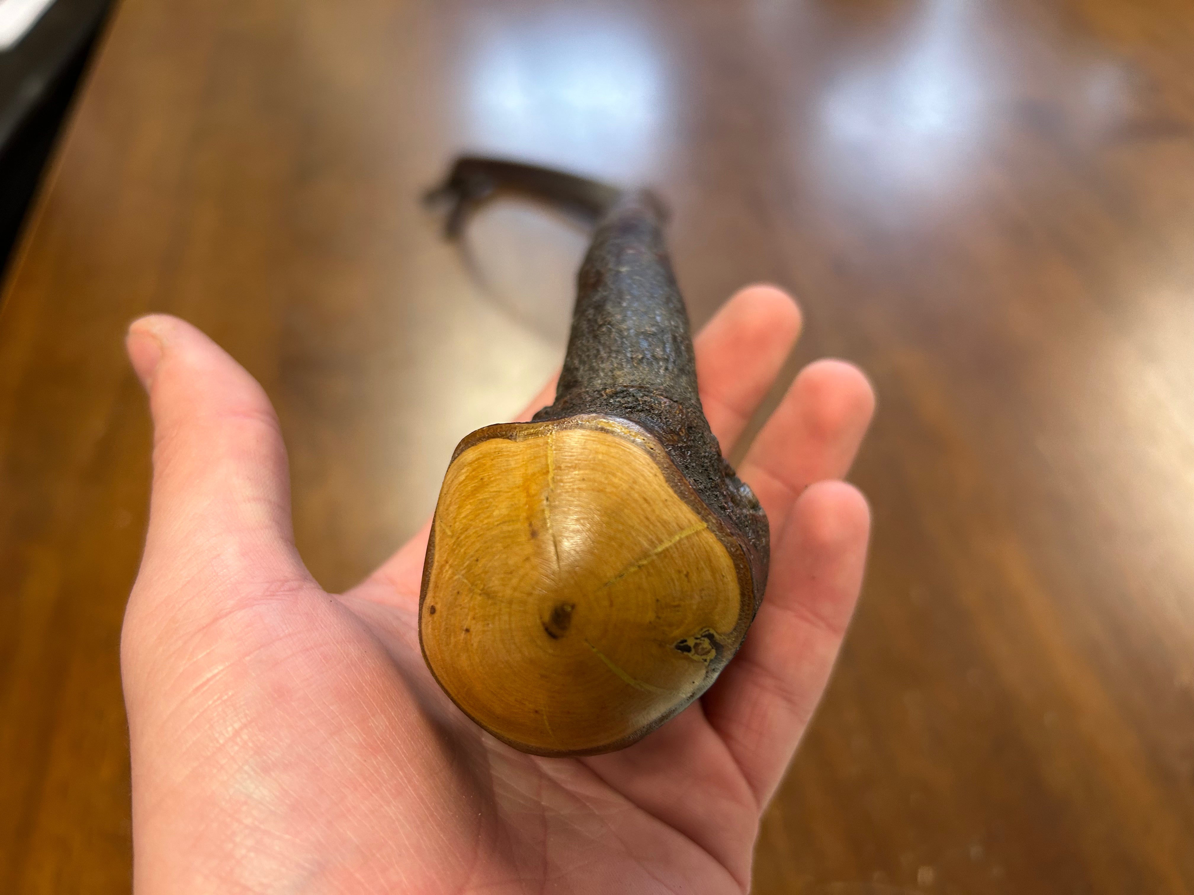 Blackthorn Shillelagh - 19 3/4 inch - Handmade in Ireland