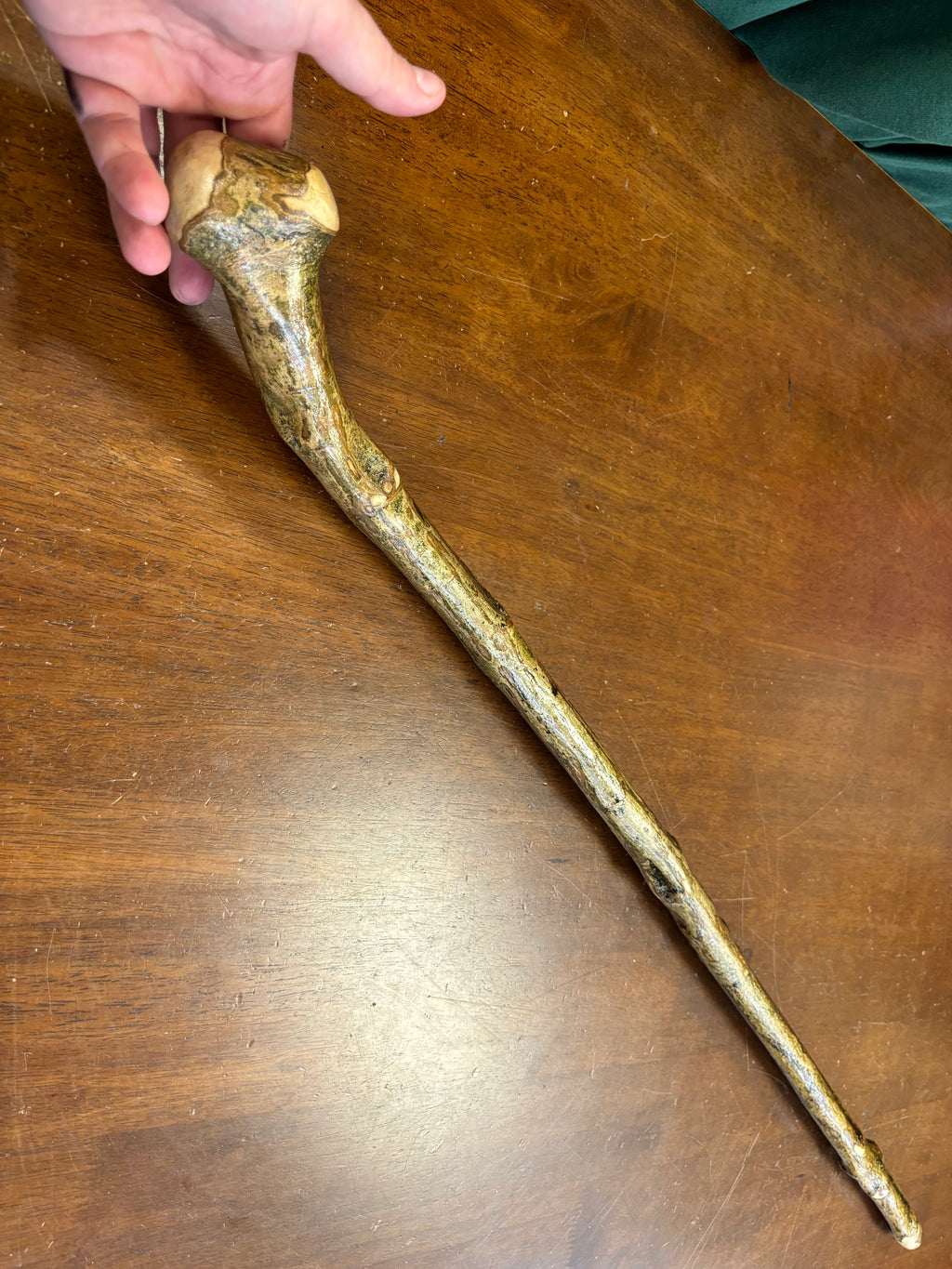 Irish Holly Walking Stick - 40 inch