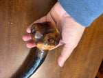 Blackthorn Walking Stick 34 inch - Handmade in Ireland