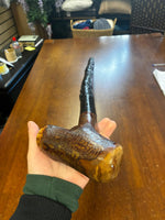 Blackthorn Walking Stick 38 inch - Handmade in Ireland