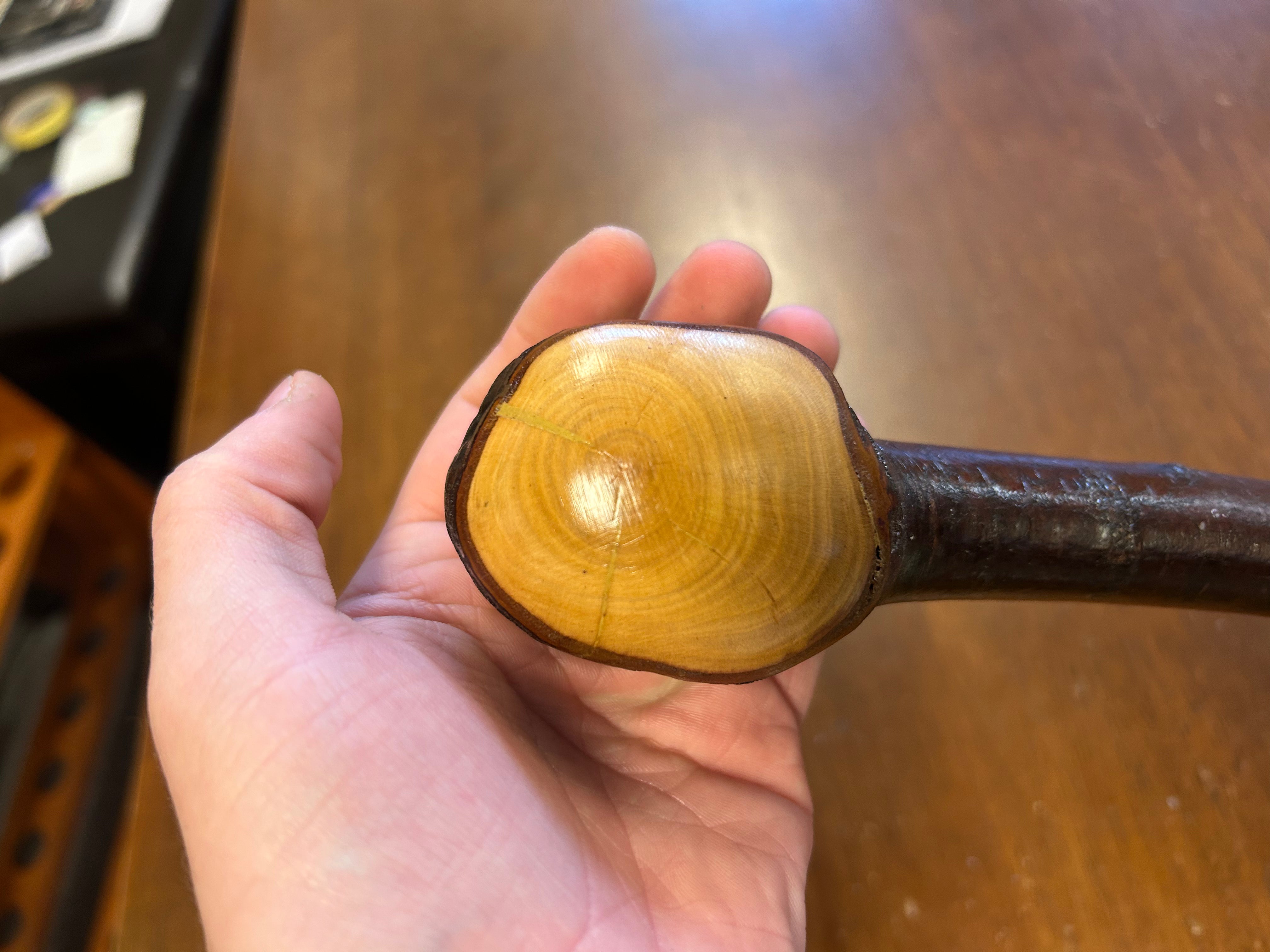 Blackthorn Shillelagh - 19 3/4 inch - Handmade in Ireland