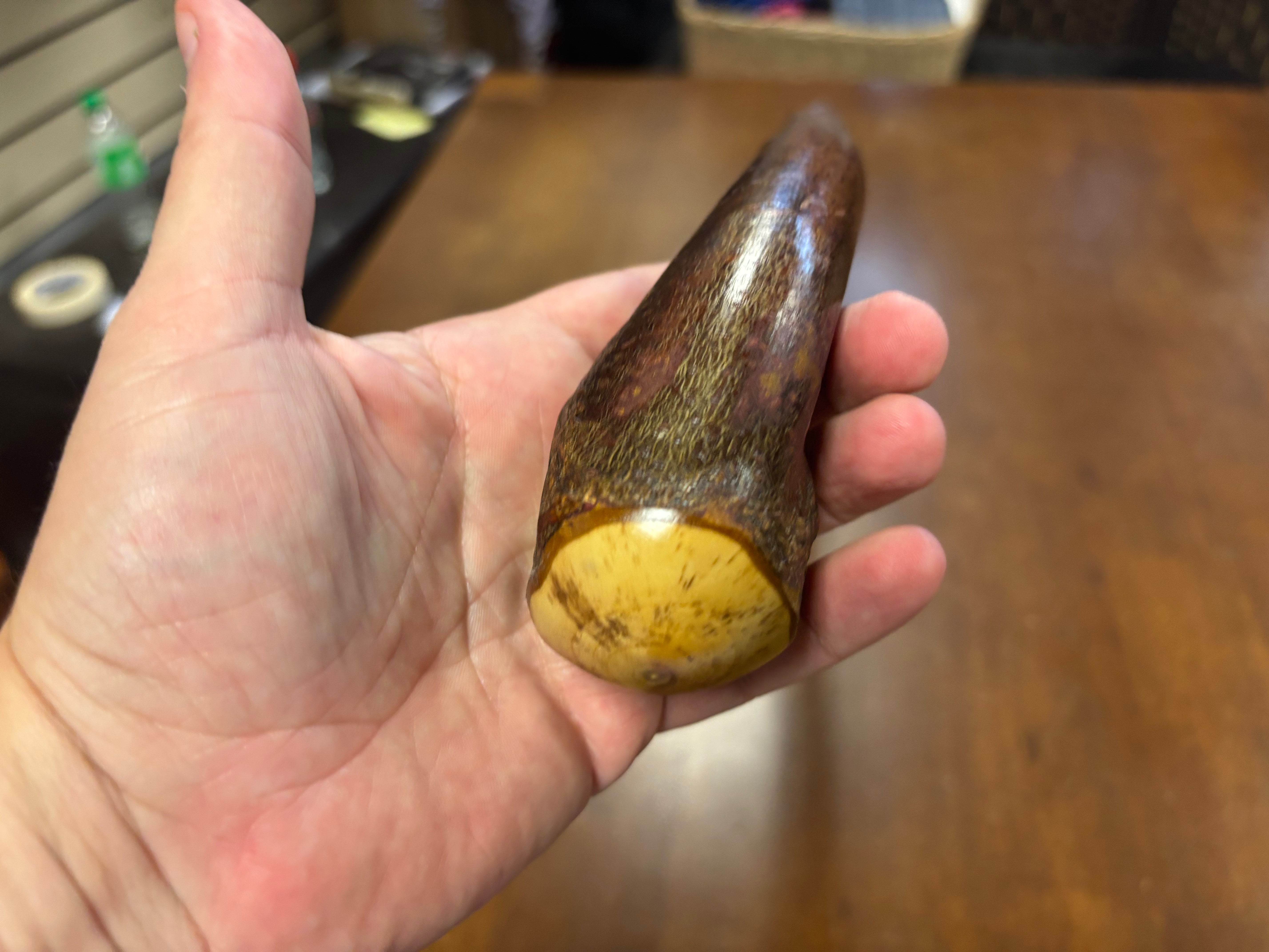 Blackthorn Walking Stick 37 1/2 inch - Handmade in Ireland