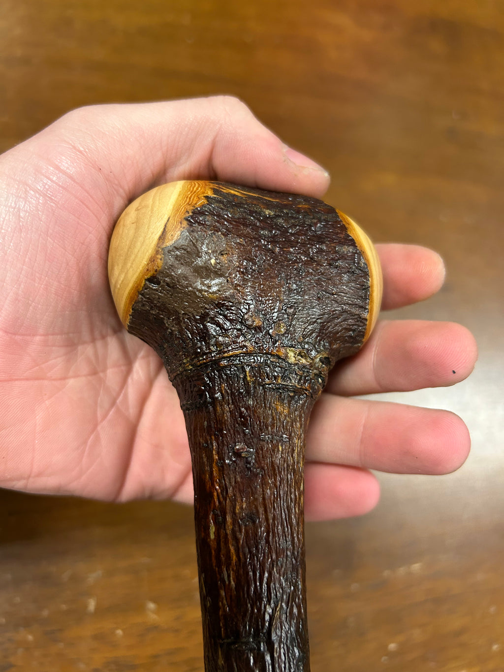 Blackthorn Walking Stick 39 1/4 inch - Handmade in Ireland