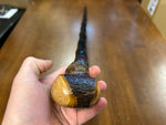 Blackthorn Walking Stick 39 1/4 inch - Handmade in Ireland