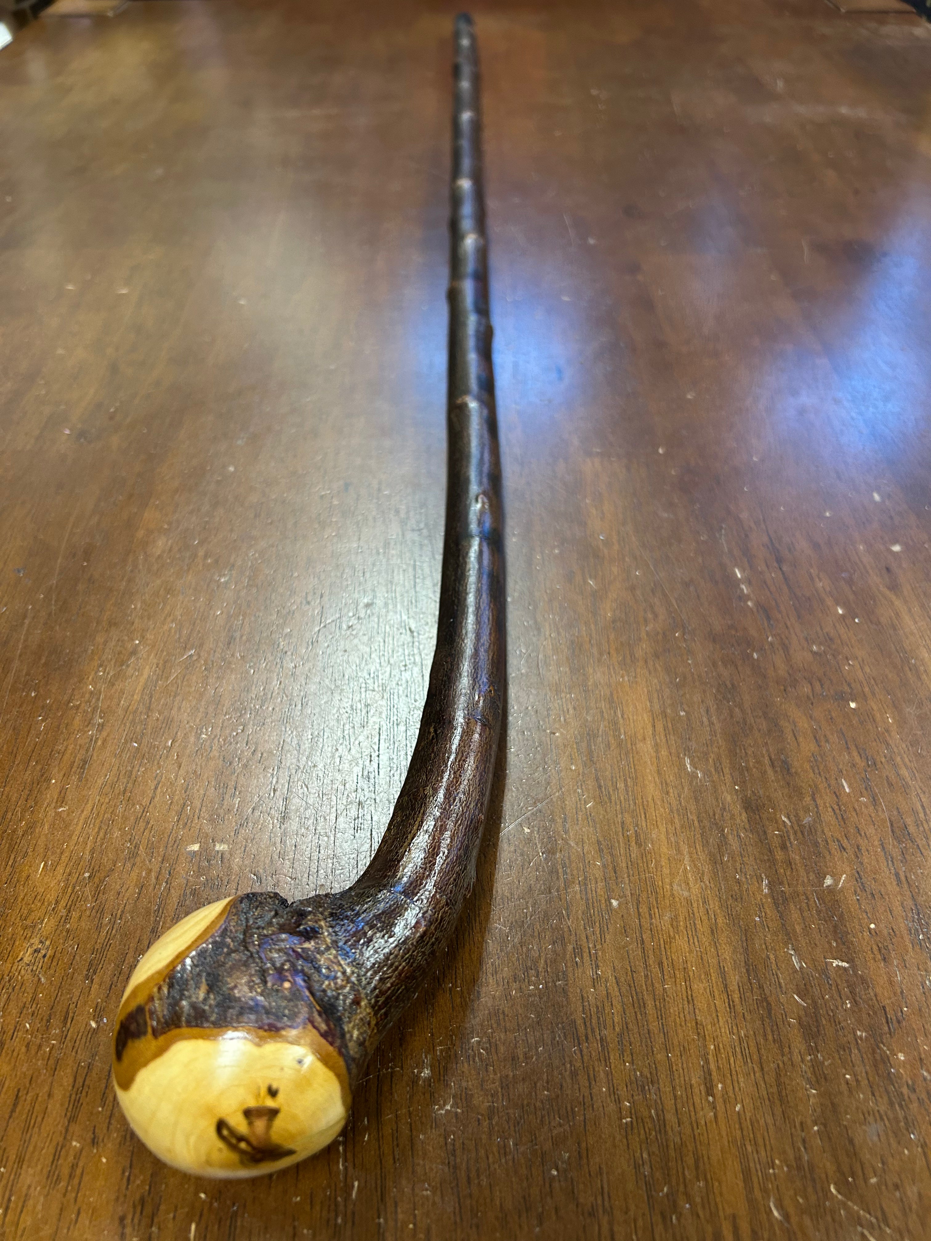 Blackthorn Walking Stick 39 inch - Handmade in Ireland