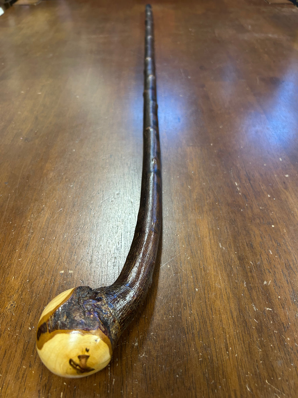 Blackthorn Walking Stick 39 inch - Handmade in Ireland