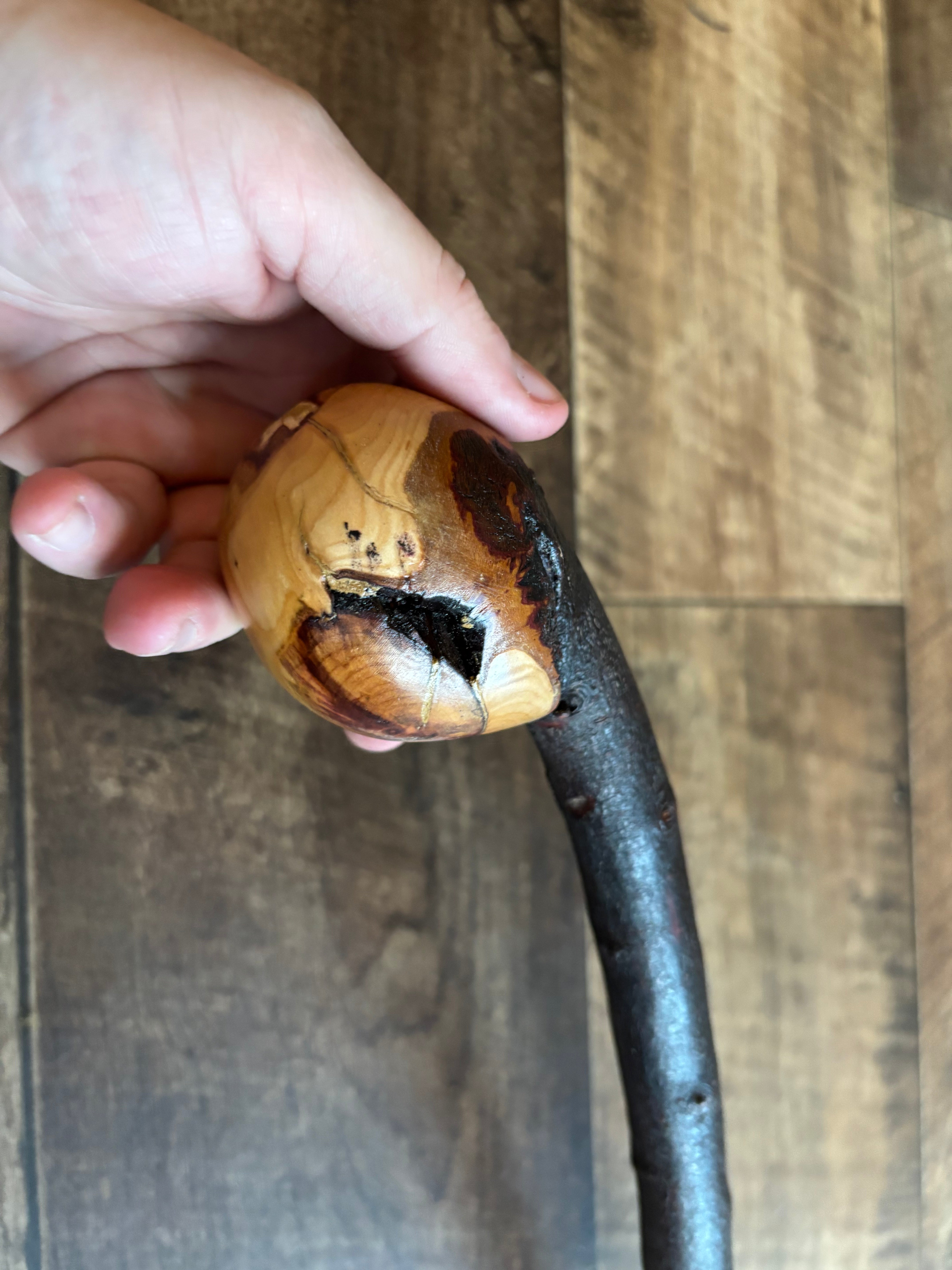 Blackthorn Shillelagh - 19 3/4 inch - Handmade in Ireland