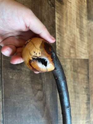 Blackthorn Shillelagh - 19 3/4 inch - Handmade in Ireland