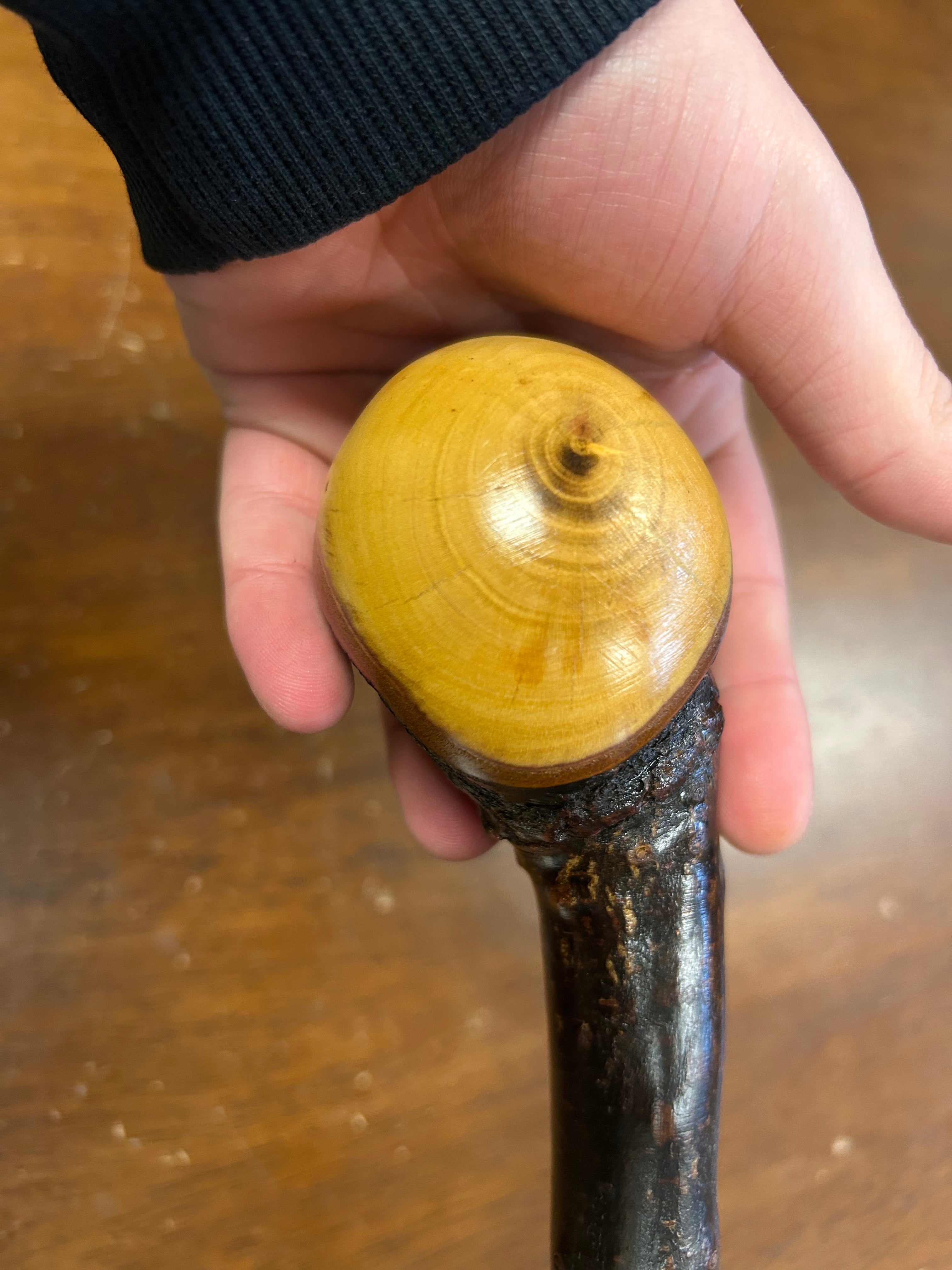 Blackthorn Walking Stick 37 1/4 inch - Handmade in Ireland