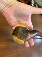 Blackthorn Walking Stick 37 1/4 inch - Handmade in Ireland