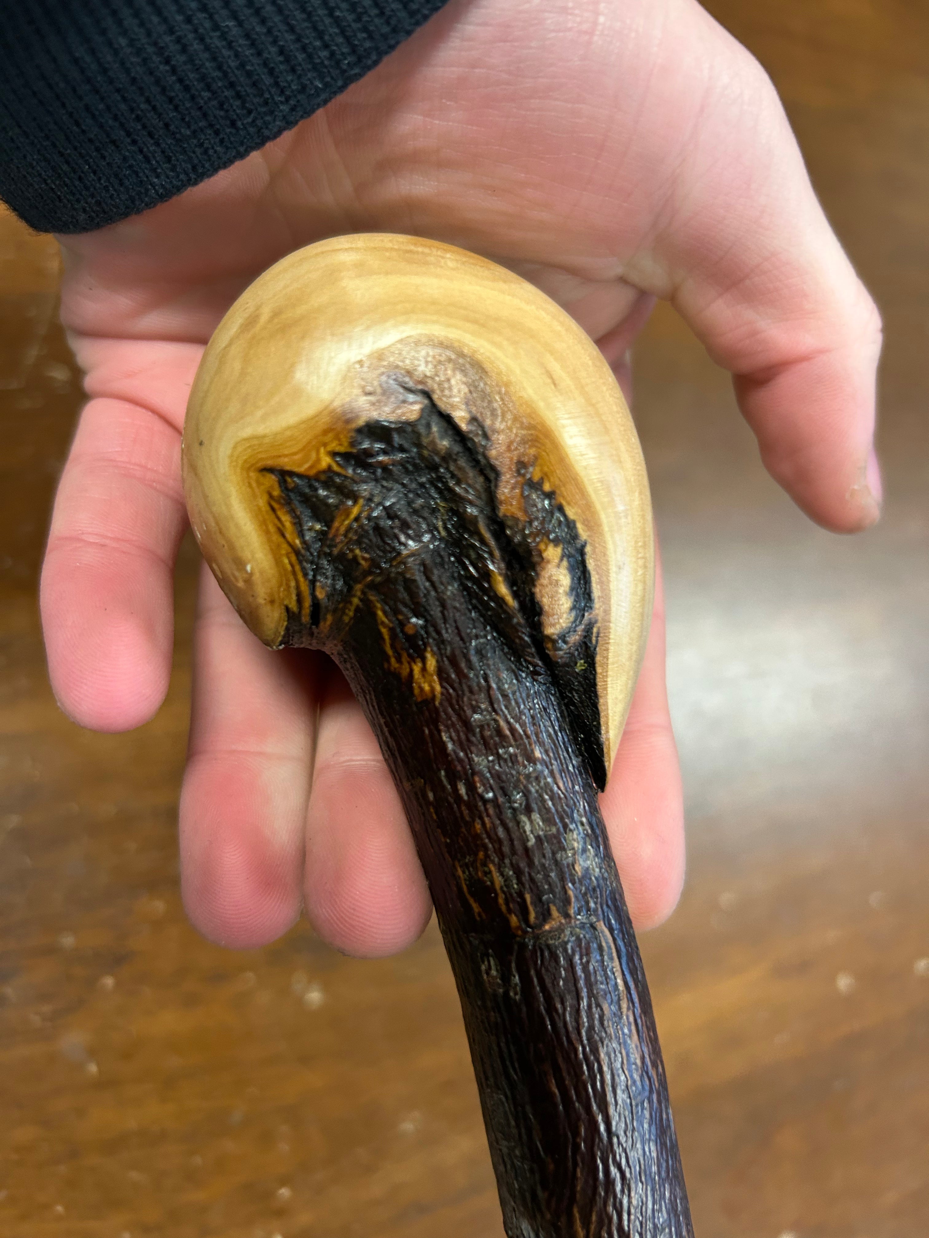 Blackthorn Walking Stick 33 3/4 inch - Handmade in Ireland