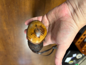Blackthorn Shillelagh - 18 3/4 inch - Handmade in Ireland