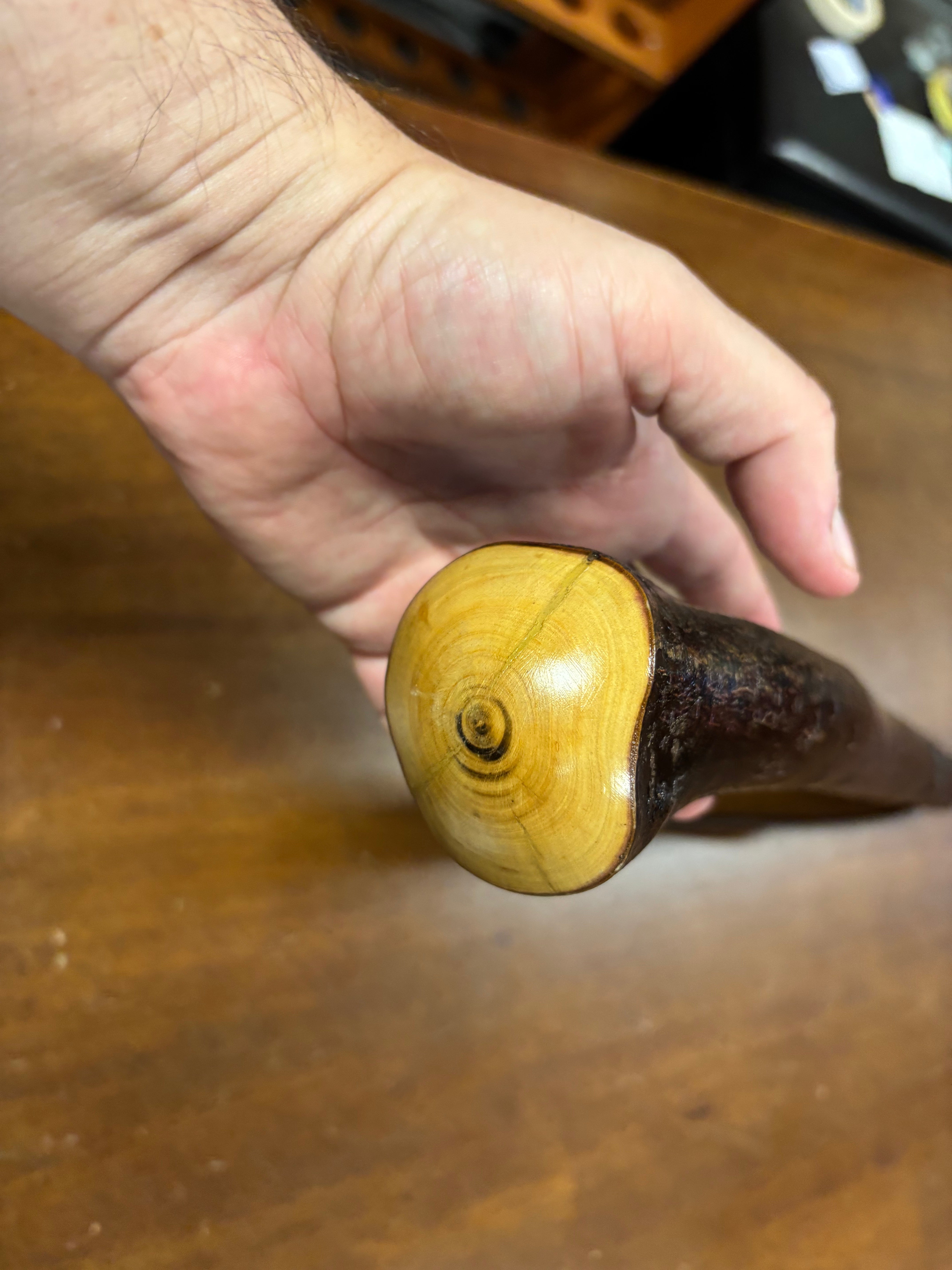 Blackthorn Shillelagh - 19 1/2 inch - Handmade in Ireland