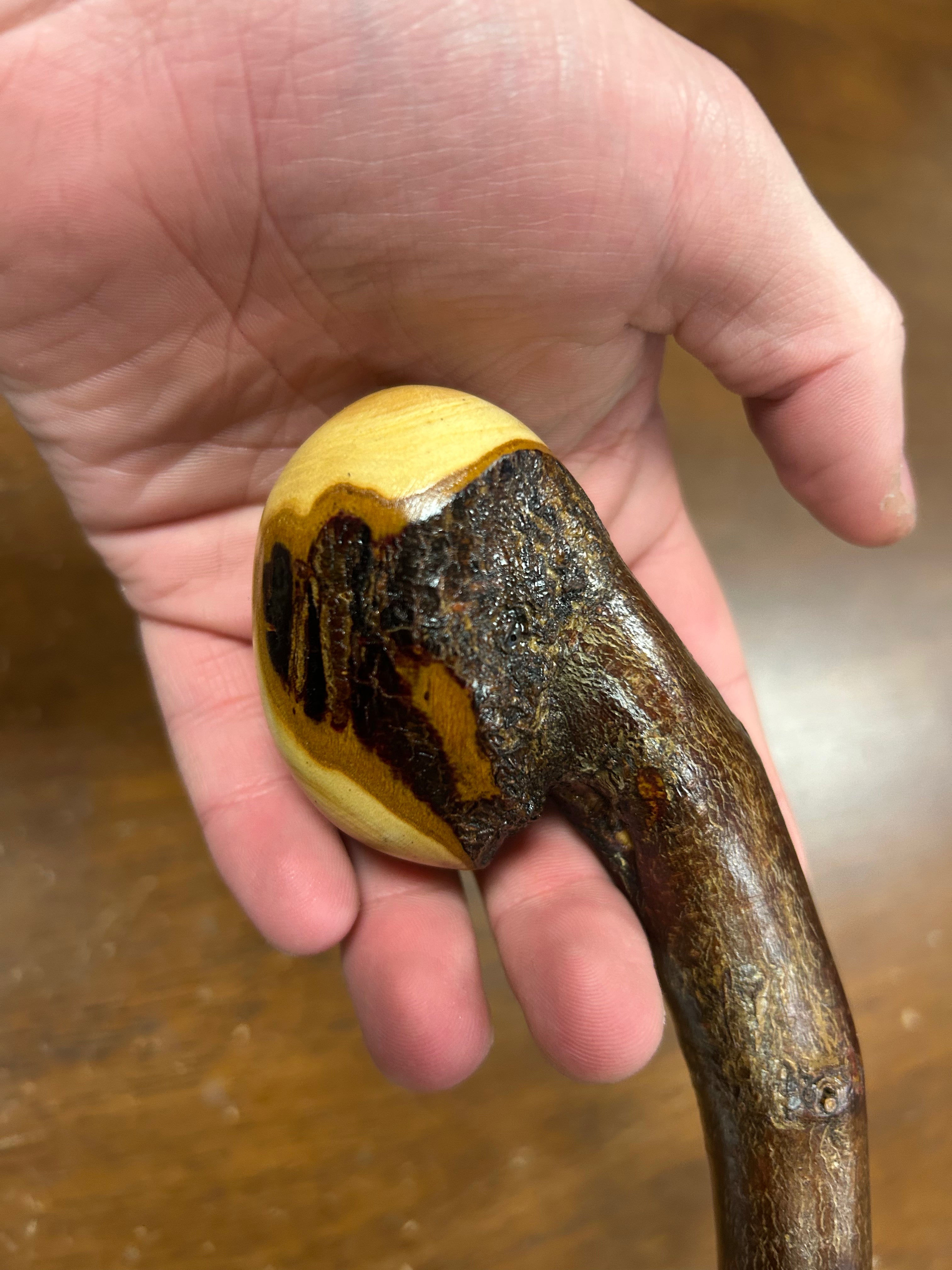 Blackthorn Walking Stick 38 inch - Handmade in Ireland