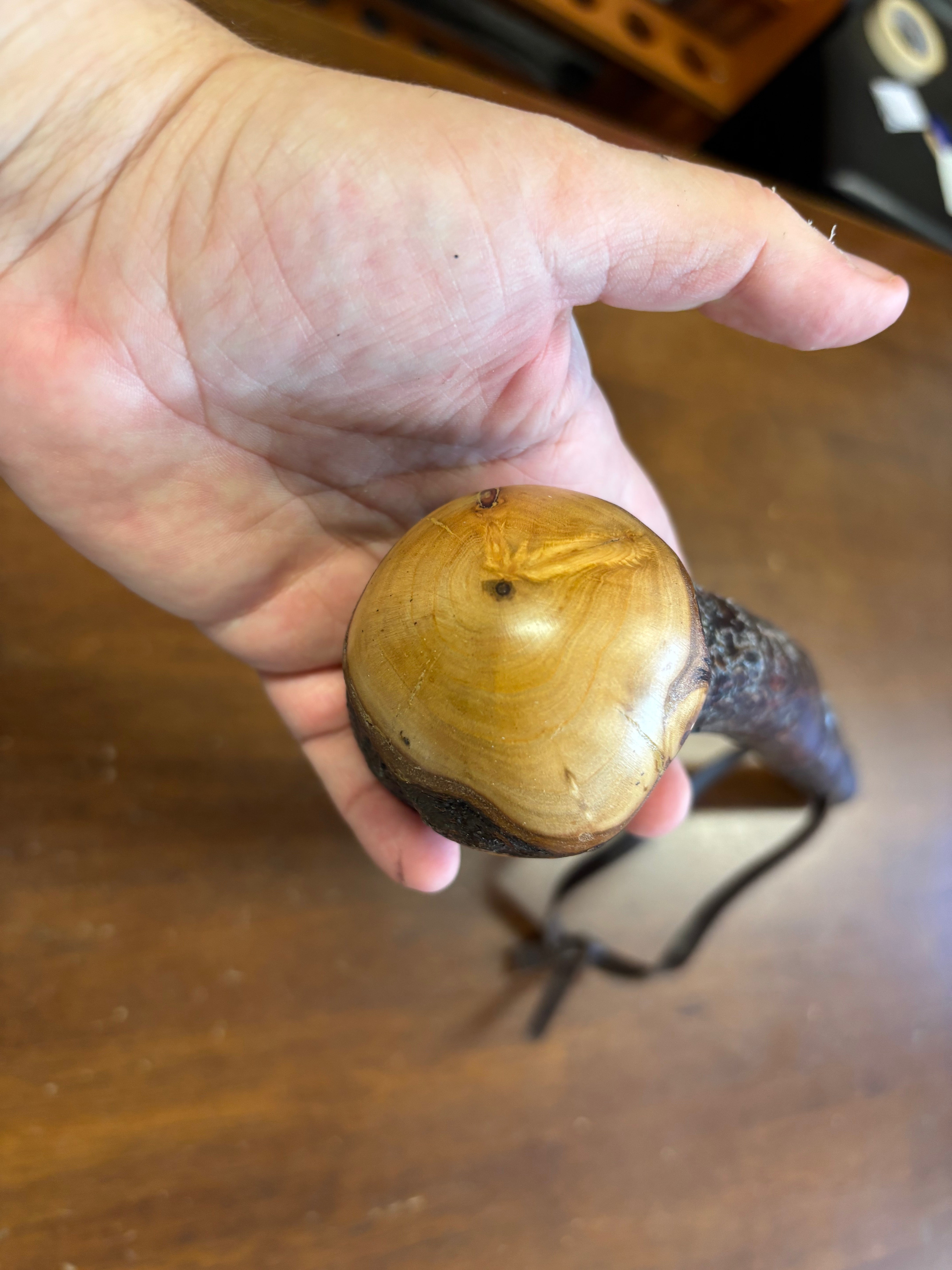 Blackthorn Shillelagh - 18 inch - Handmade in Ireland