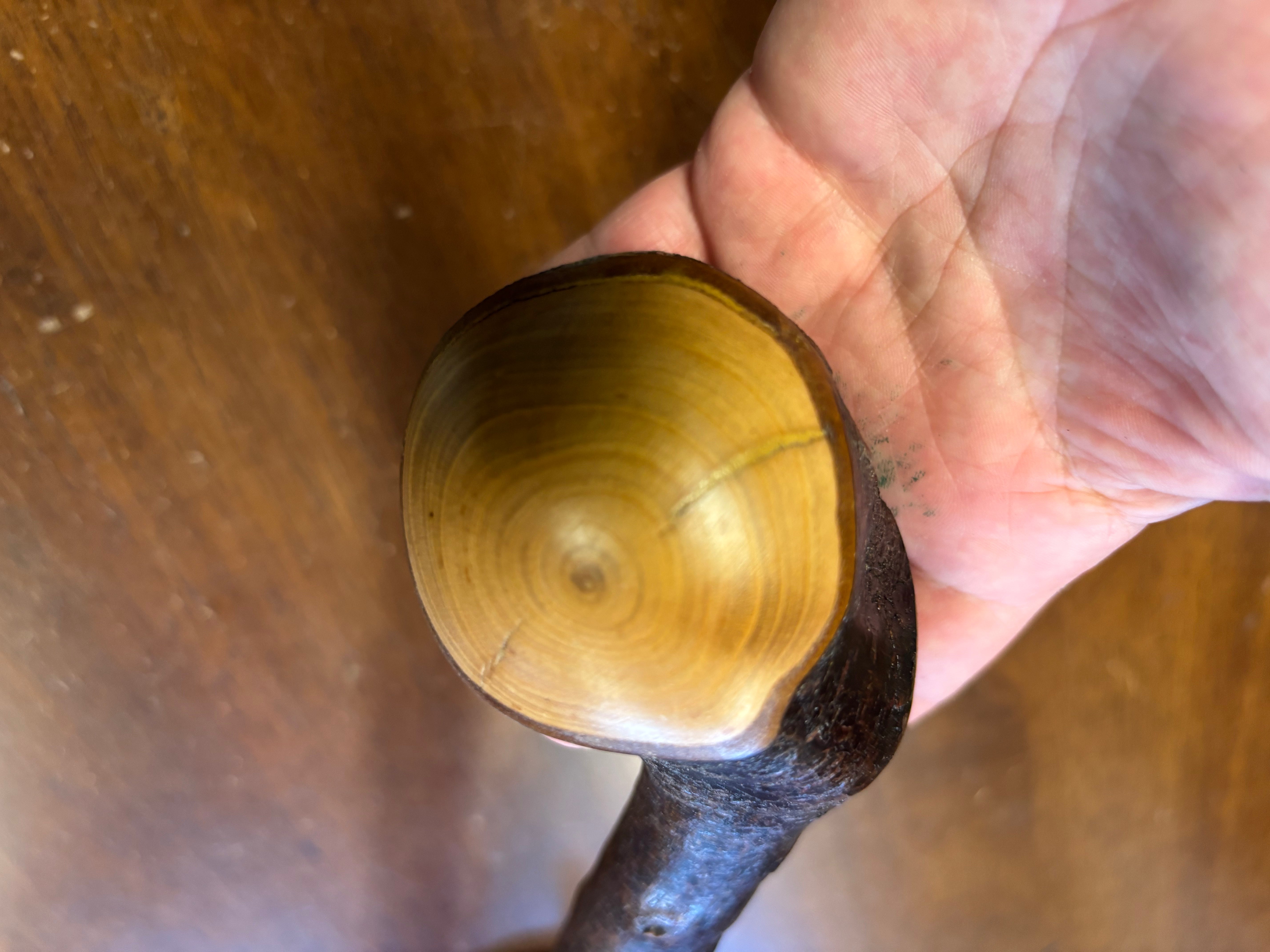 Blackthorn Shillelagh - 19 1/2 inch - Handmade in Ireland