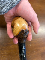 Blackthorn Walking Stick 39 1/4 inch - Handmade in Ireland