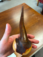 Blackthorn Walking Stick 39 inch - Handmade in Ireland